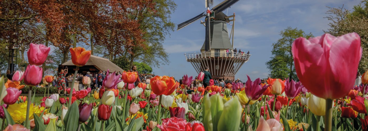 Windmühle auf dem Keukenhof